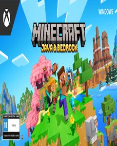 Brazil Minecraft Java Bedrock DDP
